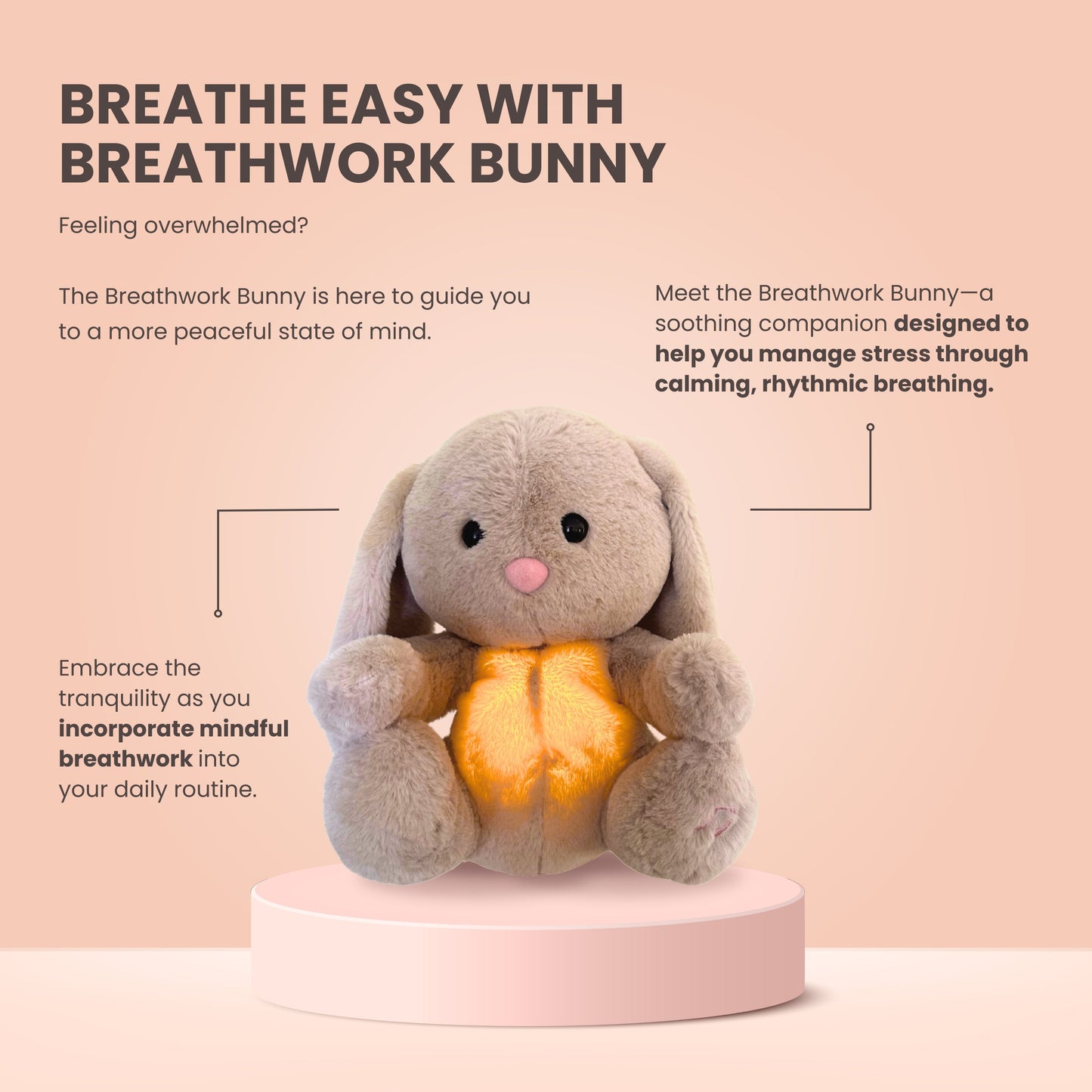 The Relief Bunny™